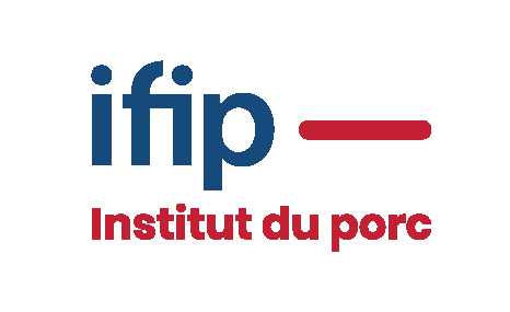 Logo IFIP